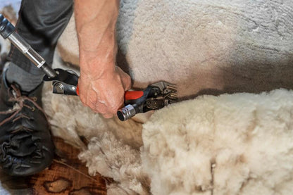 Wellington ormedrevet fåreklipper