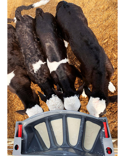 Milk Bar 4-compartment