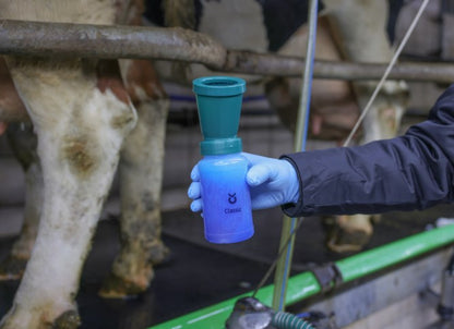 Doppflaska Kerbl Classic