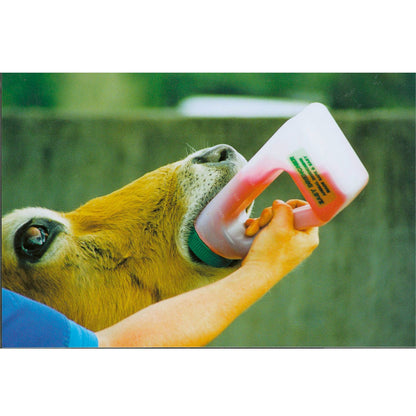 kalvflaska easy drencher