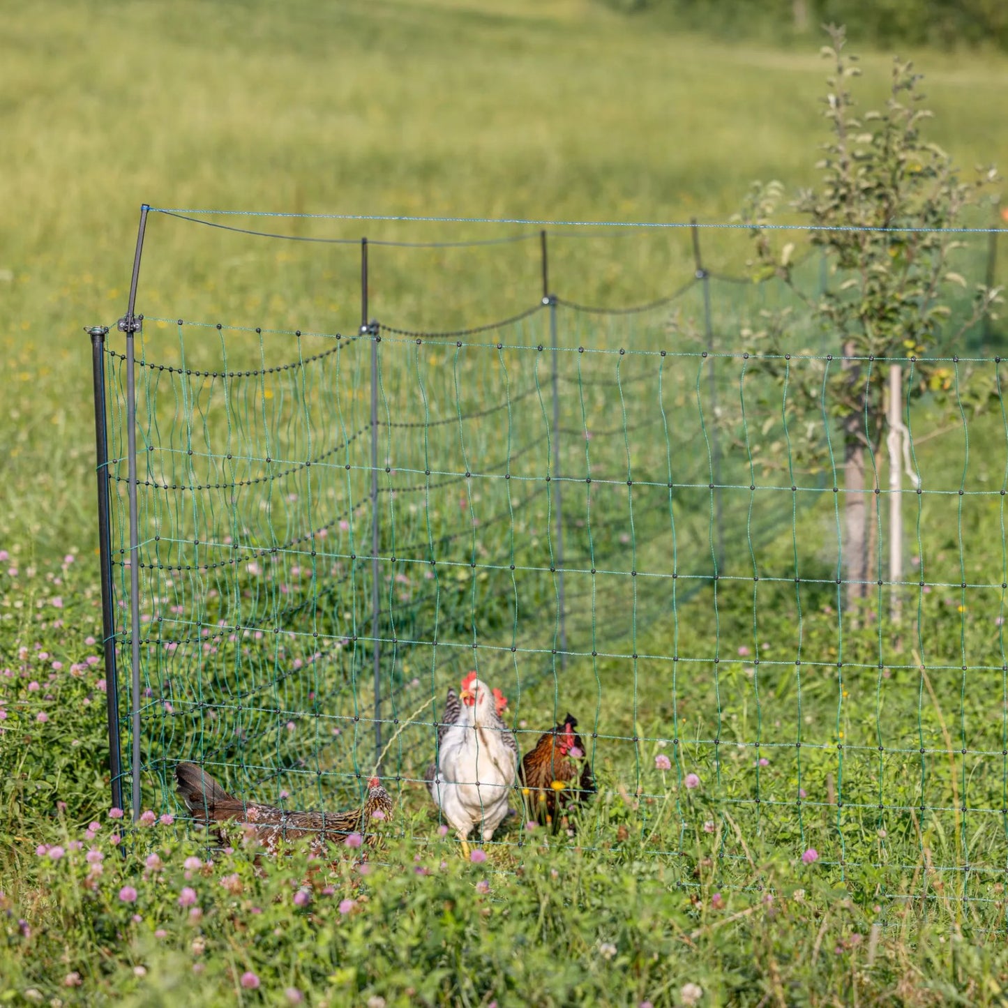 AKO Extra hållare WolfStop – tillbehör för elstängselnät (10-pack)