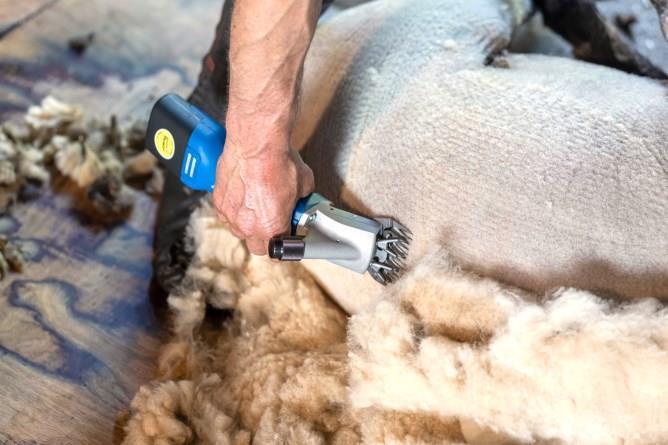 Sladdlös Batteriklippmaskin för får Aesculap Econom Nova CL