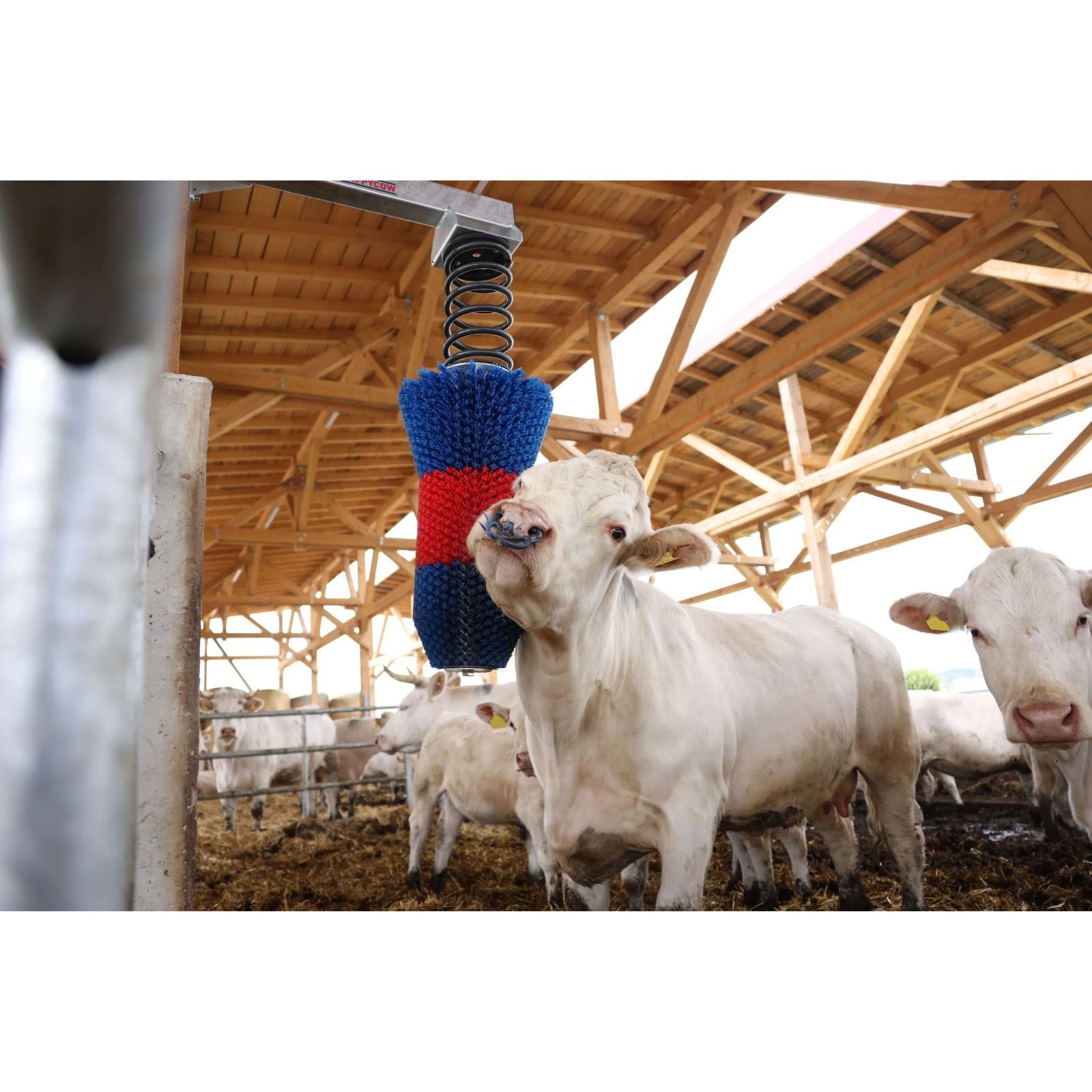 Koborste HAPPYCOW FlexiSwing – flexibel och underhållsfri kliborste för nötkreatur och häst