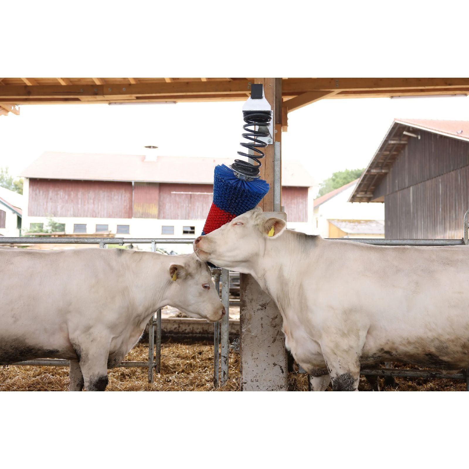 Koborste HAPPYCOW FlexiSwing – flexibel och underhållsfri kliborste för nötkreatur och häst