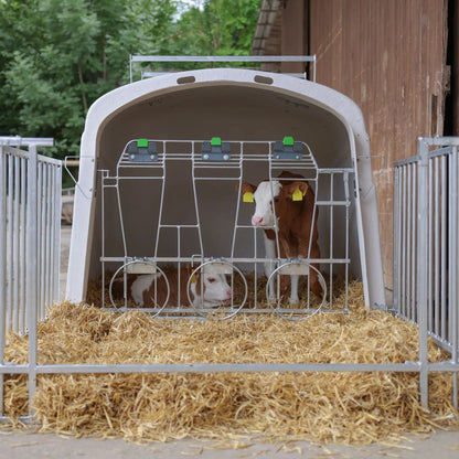 CalfHouse Premium DUO - Kalvhydda för två till tre kalvar