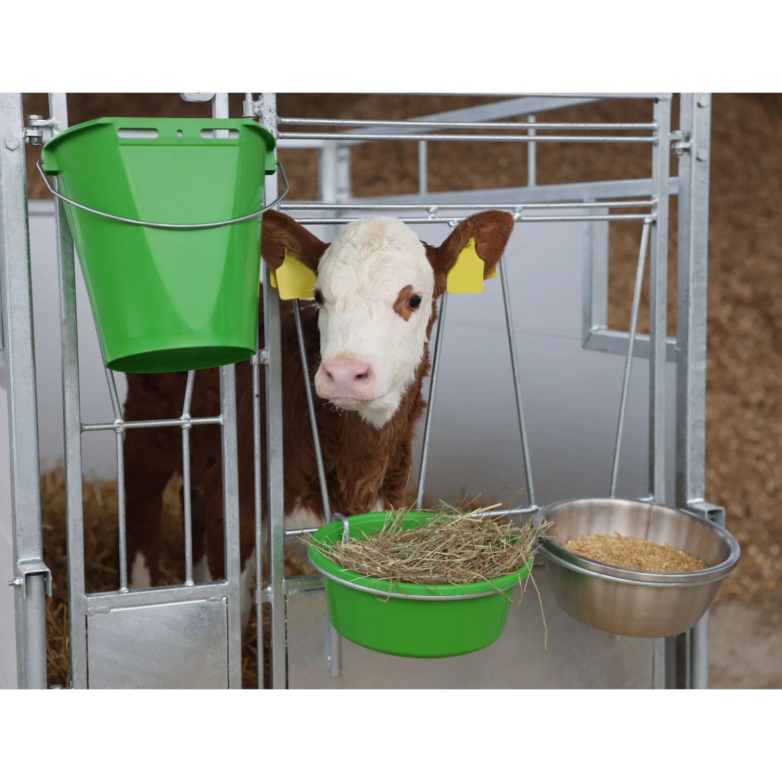 Calf Box Large - Smidig kalvbox på ca. 1,7 m2