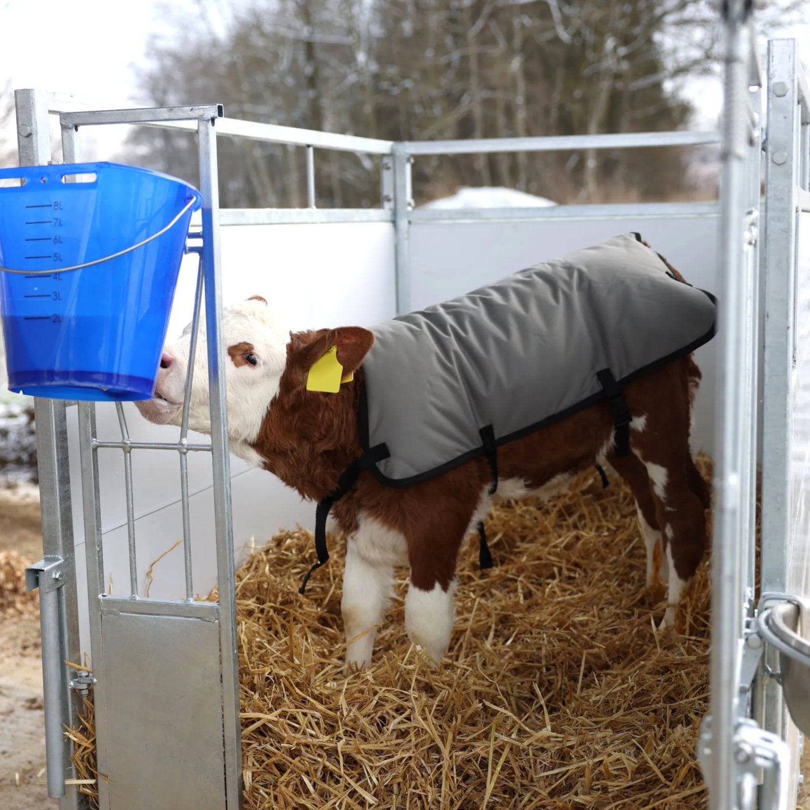 Calf Box Large - Smidig kalvbox på ca. 1,7 m2