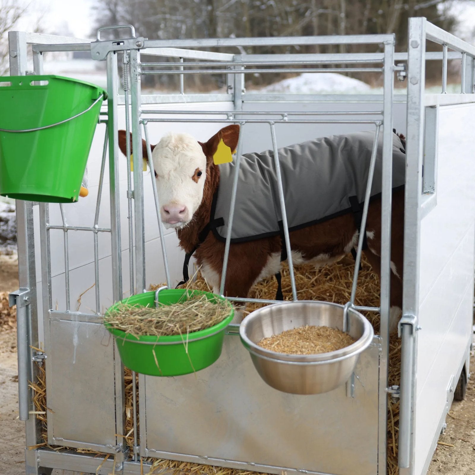 Calf Box Large - Smidig kalvbox på ca. 1,7 m2