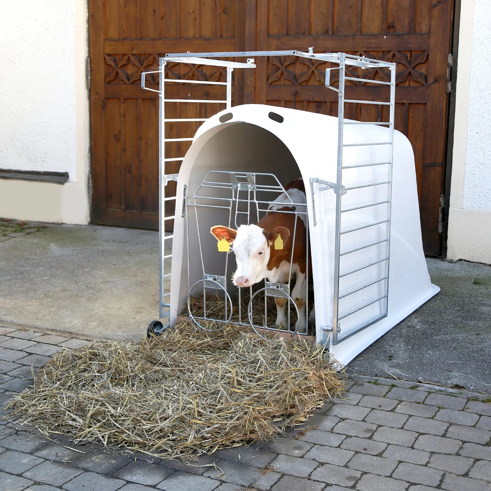 Kalvhydda Master Plus - beprövad kalvhydda med god komfort och ventilation