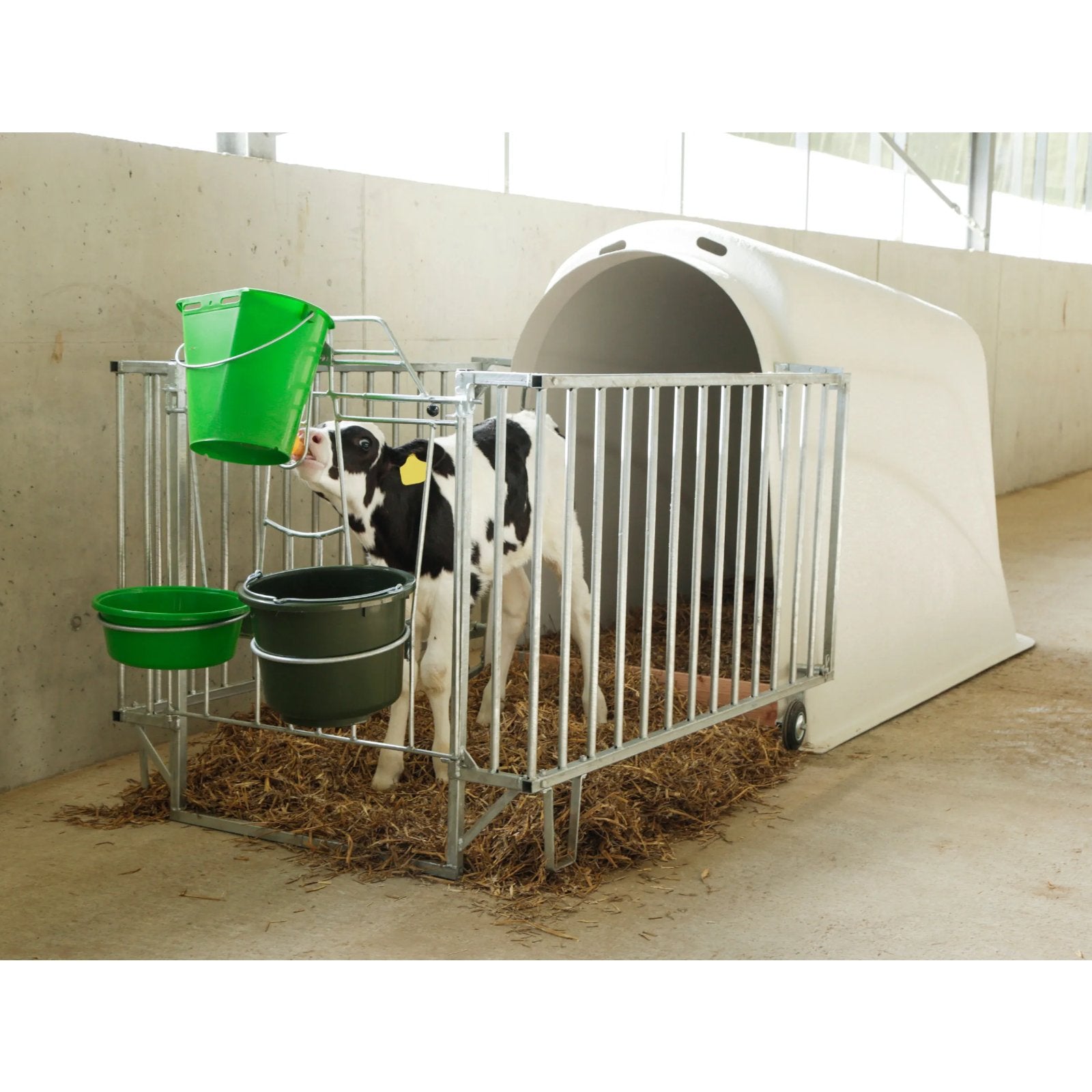 Kalvhydda Master Plus - beprövad kalvhydda med god komfort och ventilation