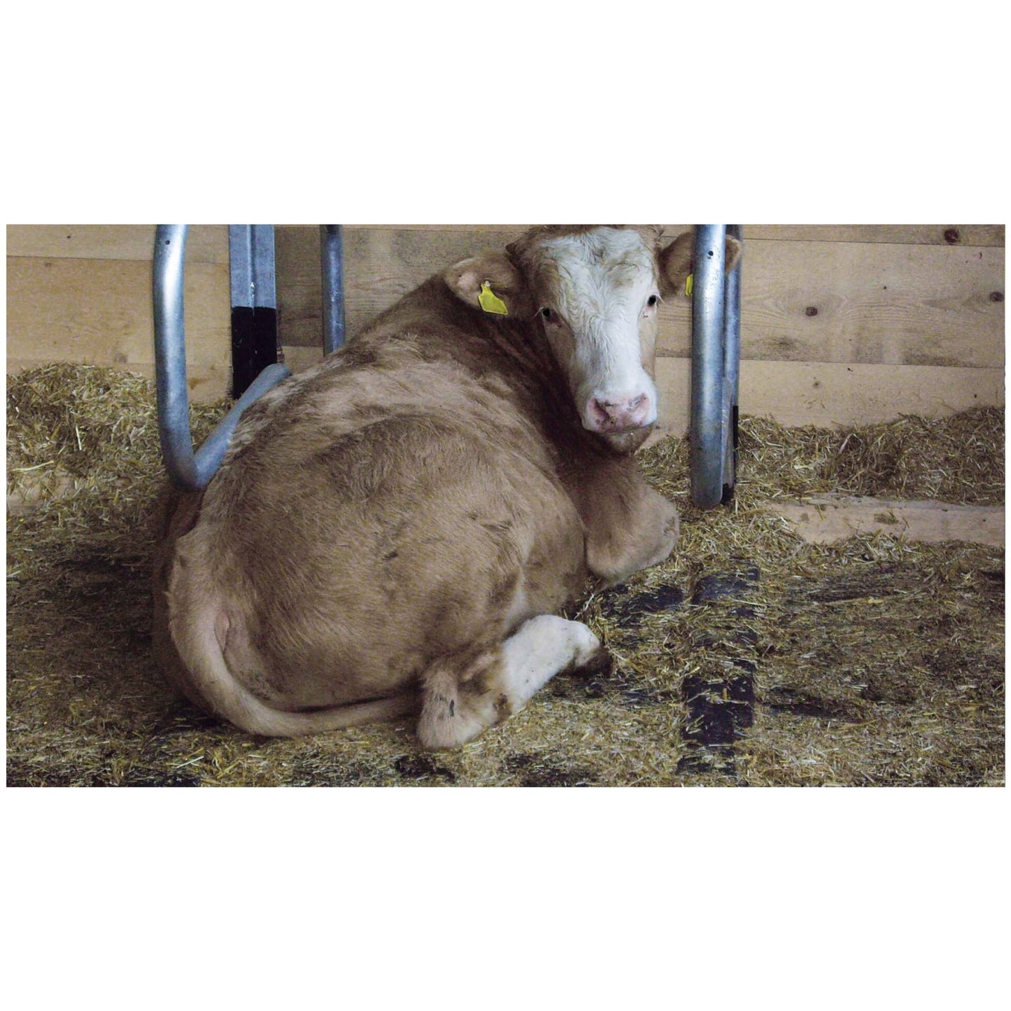 Kraiburg KIM – 3 cm robust och flexibel liggmatta med luftkuddeprofil