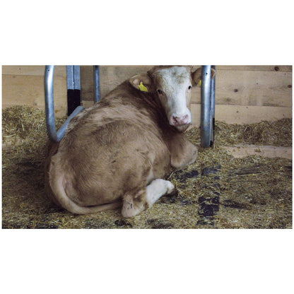 Kraiburg KIM – 3 cm robust och flexibel liggmatta med luftkuddeprofil