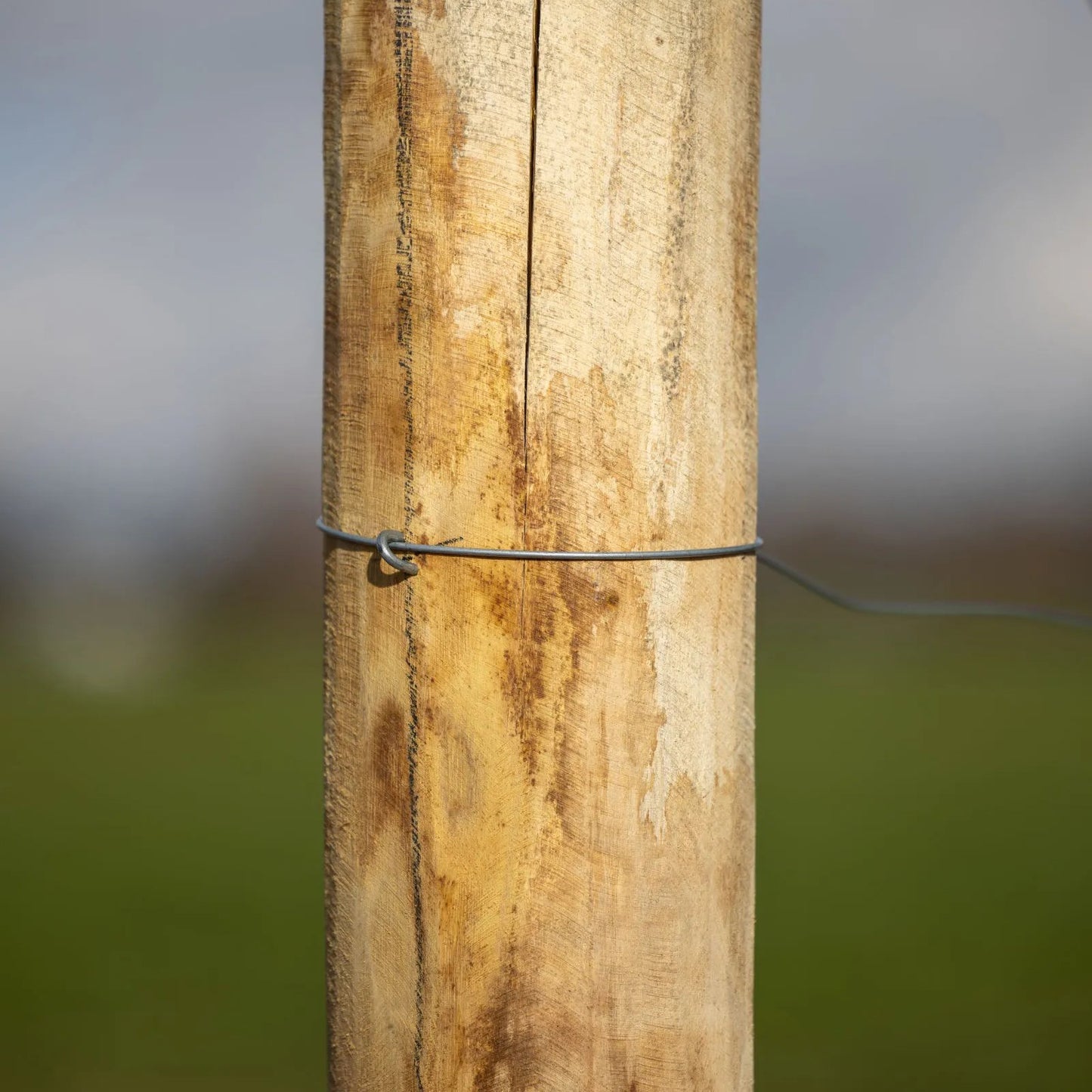 Kiinnikkeet 47 x 3,8mm, 50-p