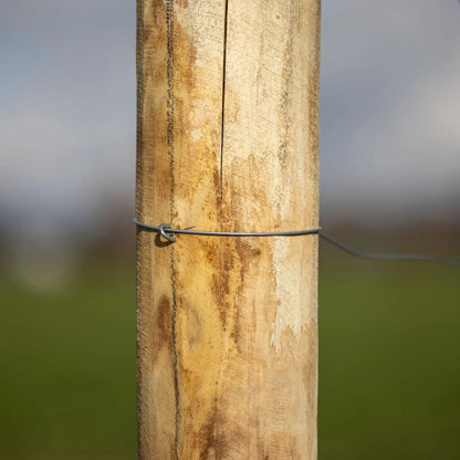 Kiinnikkeet 47 x 3,8mm, 50-p