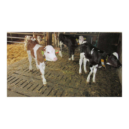 Kraiburg KURA S – Skräddarsydd 24 mm gummimatta för spaltgolv