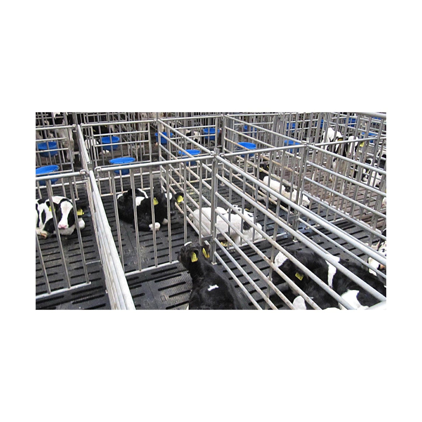 Kraiburg KURA S – Skräddarsydd 24 mm gummimatta för spaltgolv