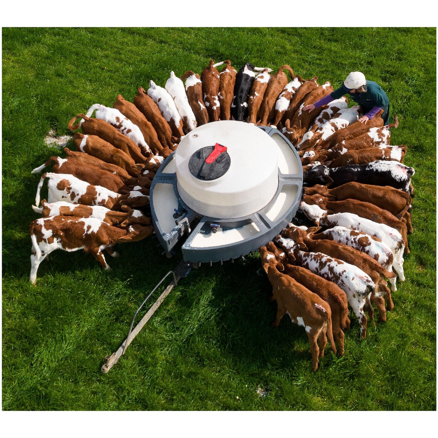 Milk Bar Classic Mobile Range – Mobila kalvutfodrare