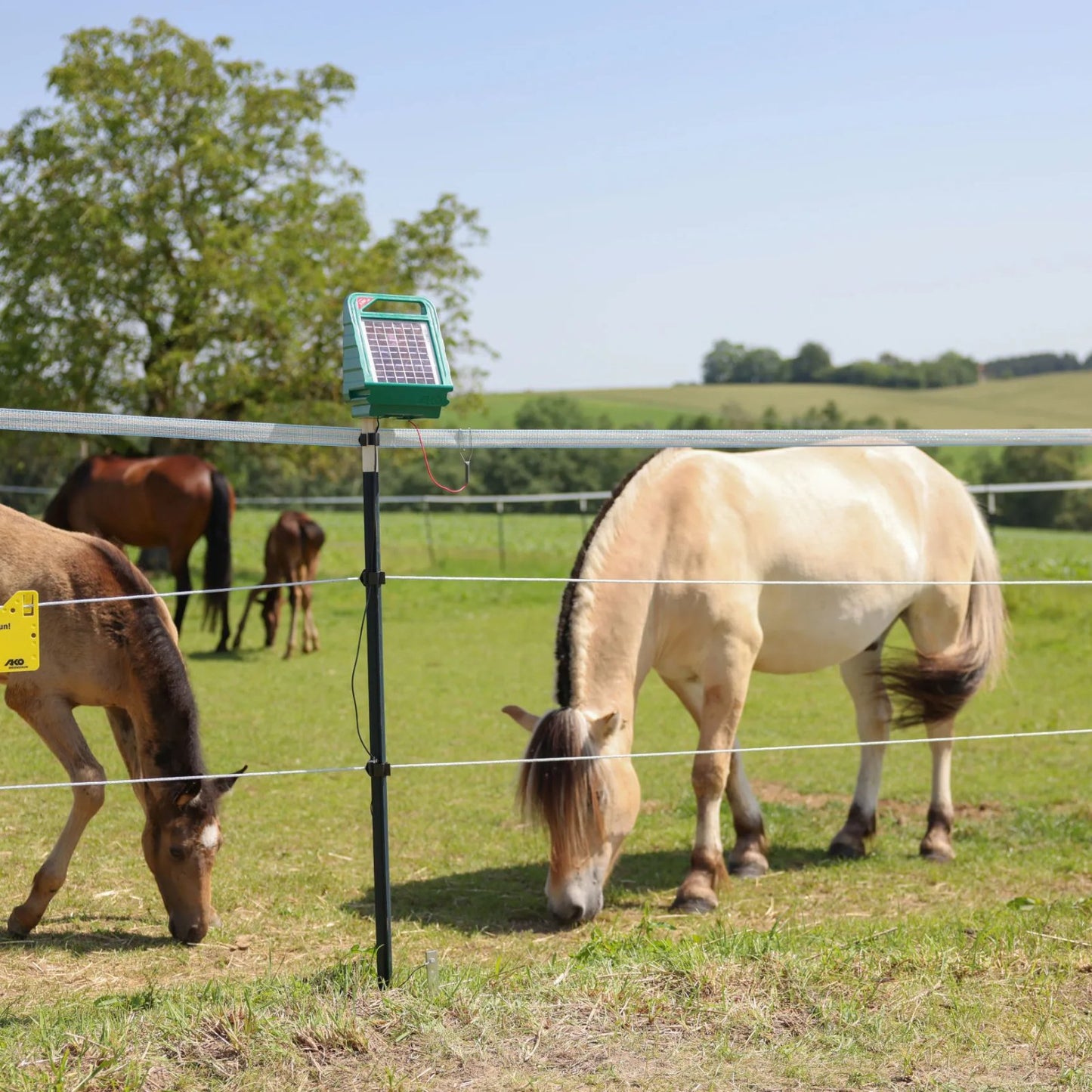 Elband PlatinumLine 40 mm – 200 m Vit/Blå elstängselband