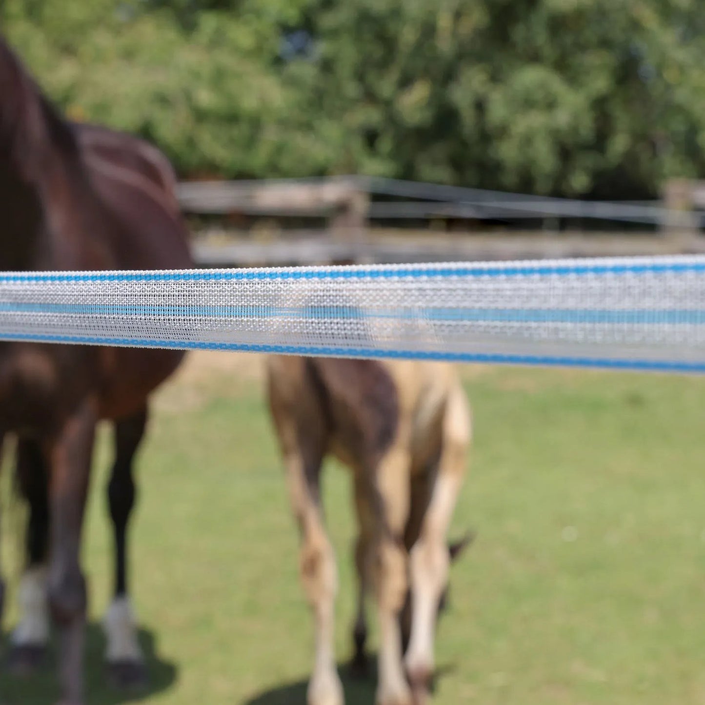 Elband PlatinumLine 40 mm – 200 m Vit/Blå elstängselband