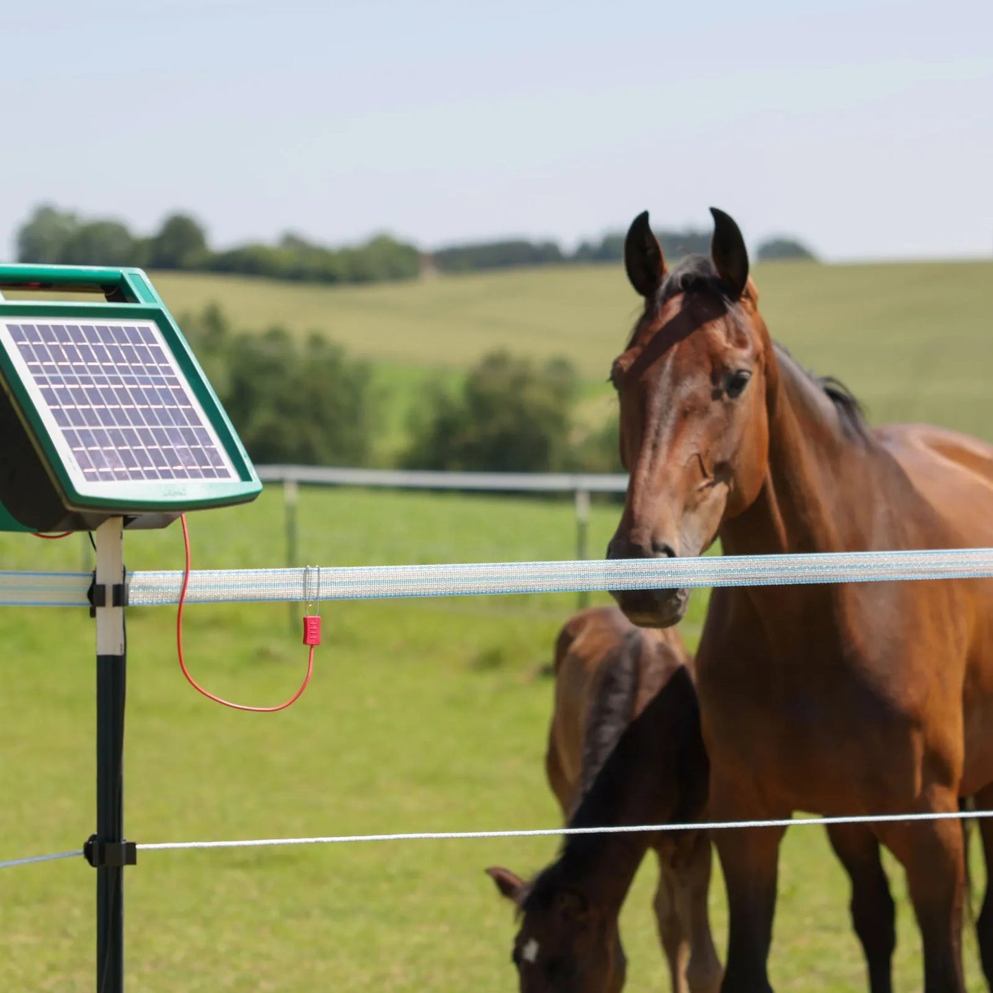 Elband PlatinumLine 40 mm – 200 m Vit/Blå elstängselband