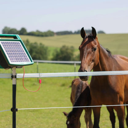 Elband PlatinumLine 40 mm – 200 m Vit/Blå elstängselband