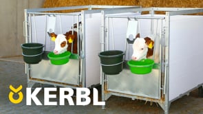 Calf Box small - Kalvbox med metallram och halksäker golvrist