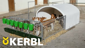 Kalvehytte Premium XXL