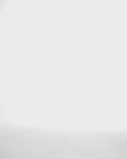 Blåkläder Twillskjorta 3297 - 100% Bomull