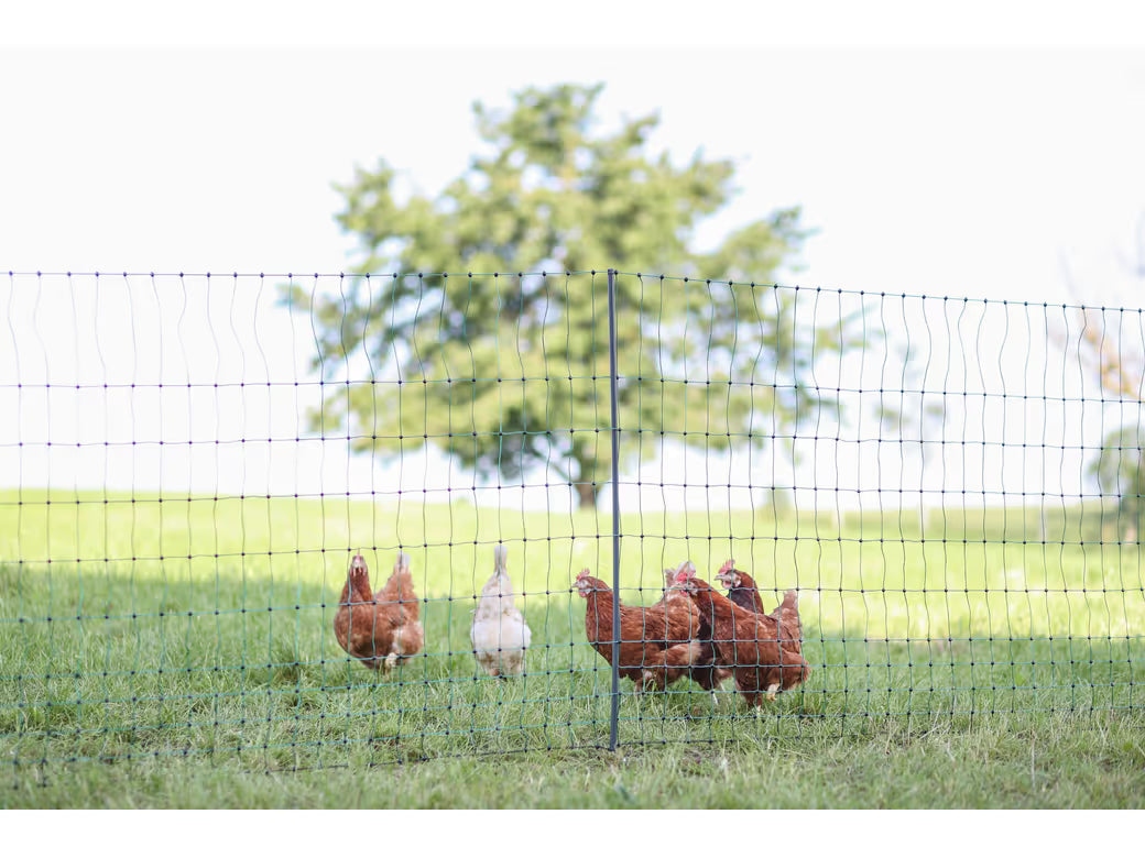 AKO PoultryNet Premium - Stabilt Fjäderfänät