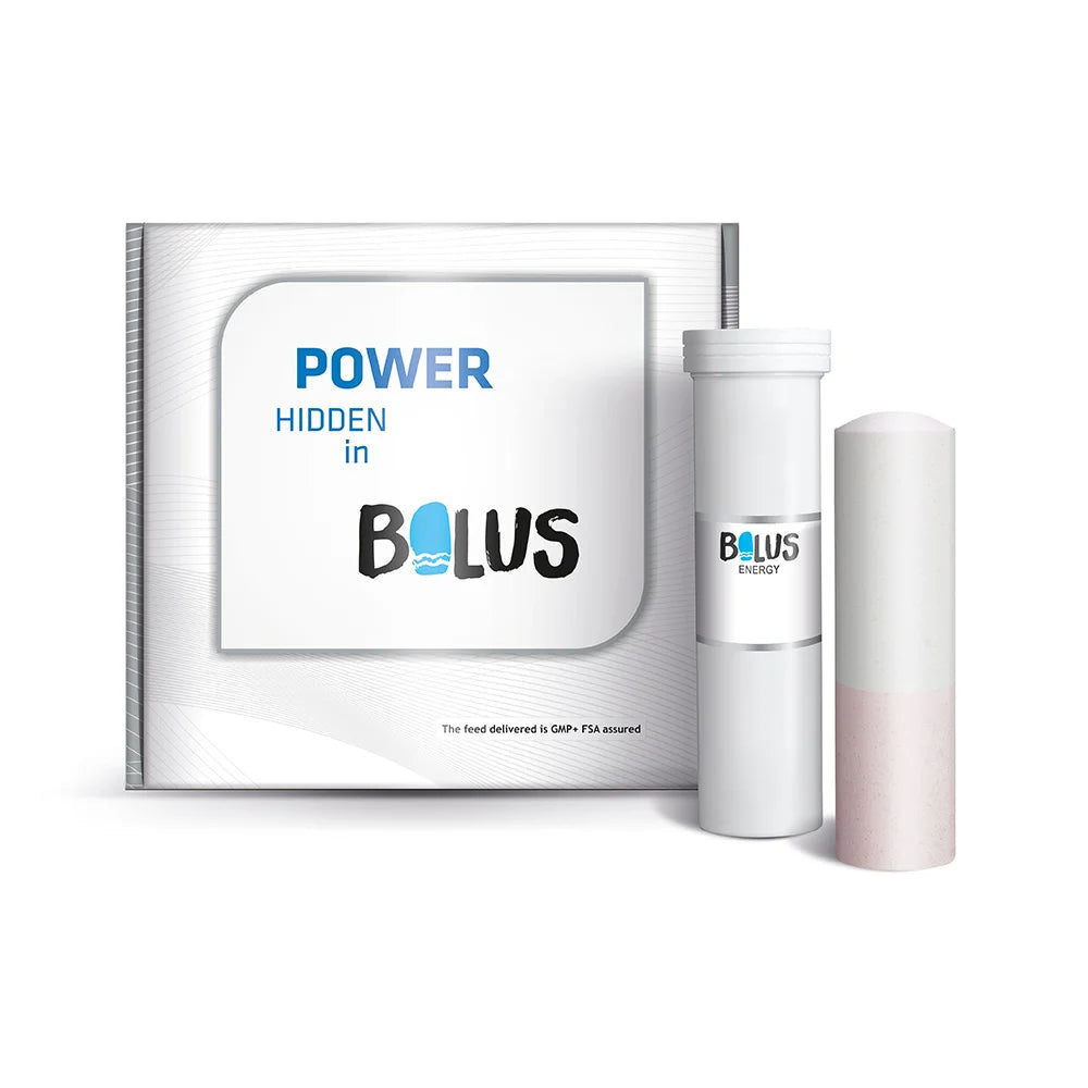 Energiabolus 4-p